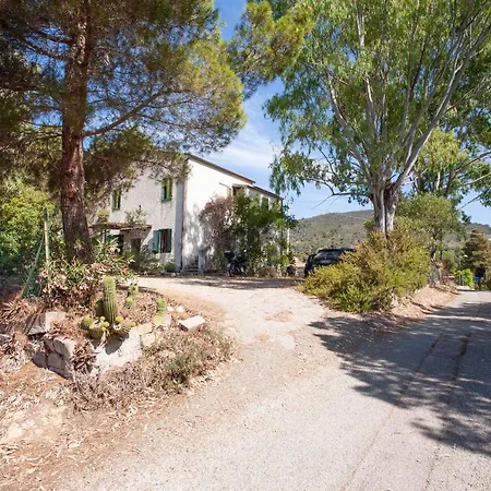 Daire Casa L'antica Oliveta *
